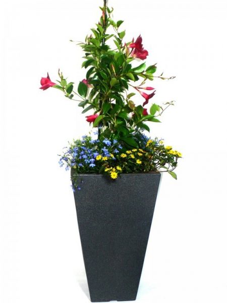 Květináč TOPF CAPRI 27 x 27 x 45 cm antracit Květináče TOPF jsou vyrobeny z vysoce kvalitního plastu - polyethylenu. Jsou odolné vůči mrazu a povětrnostním vlivům.