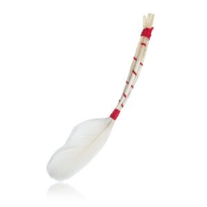 VETRO-PLUS Mašlovačka z peří 19 cm Mašlovačka z peří 19 cm je praktický pomocník pro snadné potírání pokrmů při pečení a grilování. Mašlovačka je vyrobena z kvalitního husího peří.