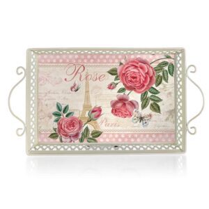 HOME DECOR Podnos plechový ROSE PARIS 41 x 23 x 4