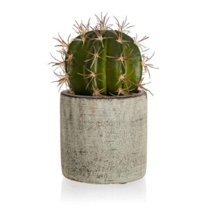 HOME DECOR Kaktus v betonovém květináči 9