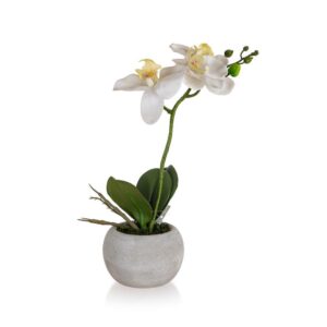 HOME DECOR Orchidej v papírovém květináči 32 x 23 cm
