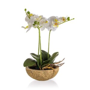 HOME DECOR Orchidej v betonovém květináči 30