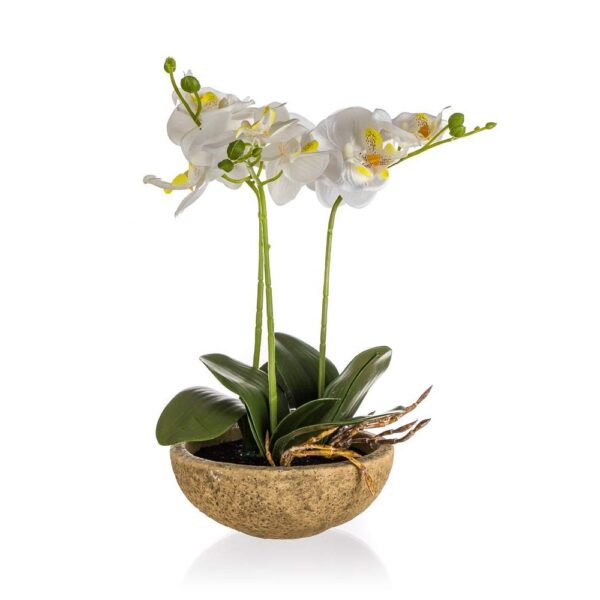 HOME DECOR Orchidej v betonovém květináči 30