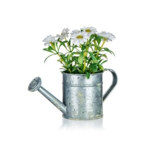 HOME DECOR Květina umělá v plechovém květináči DAISY 15 x 15 cm Květina s bílými květy Daisy v plechovém květináči ve tvaru konvičky 15 x 15 cm